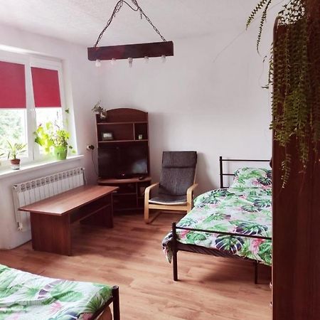 Gromadzyniowka-Pod Czarnym Kogutem Διαμέρισμα Ustrzyki Dolne Εξωτερικό φωτογραφία